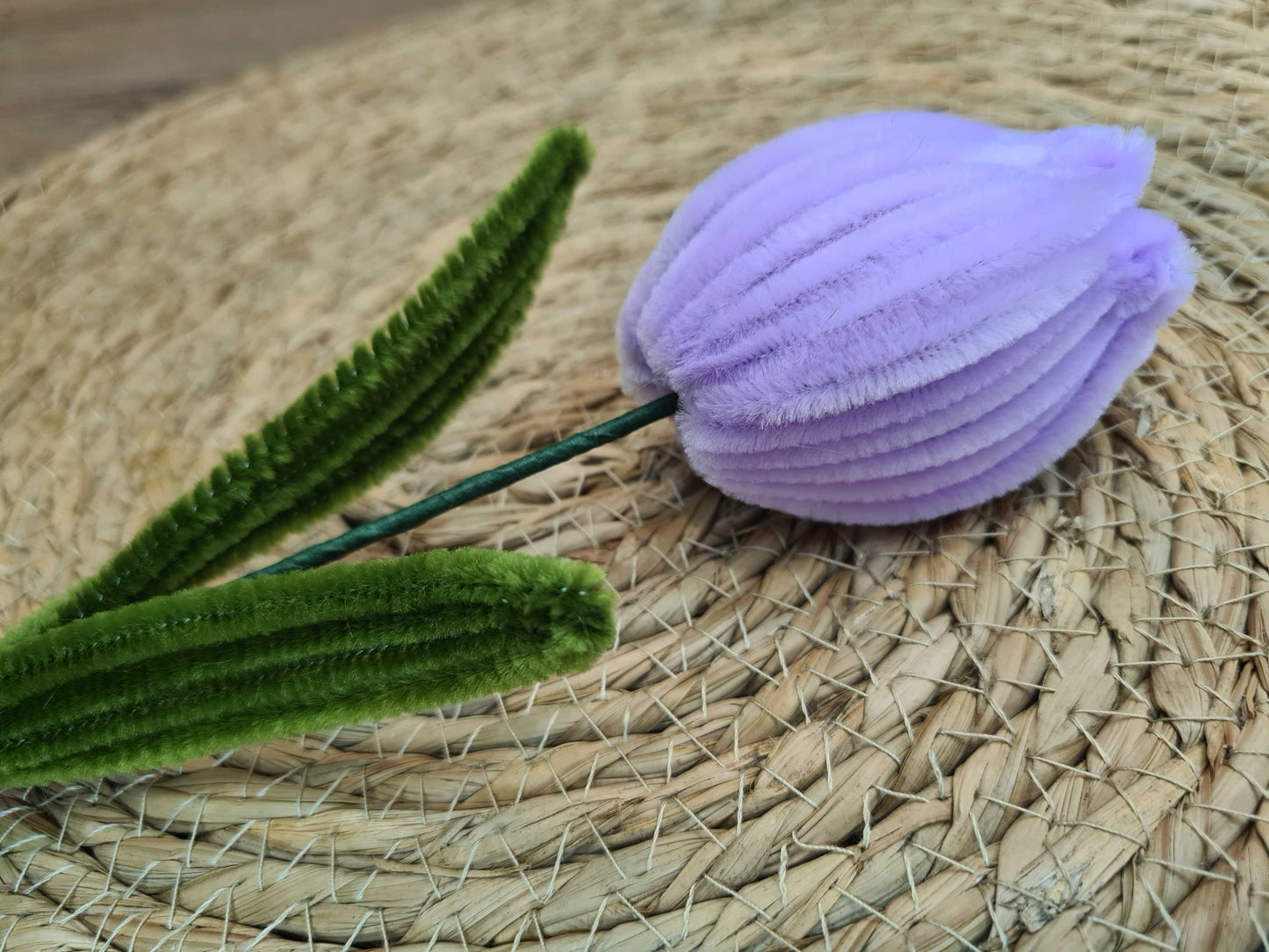 Tulp – Kant en Klaar