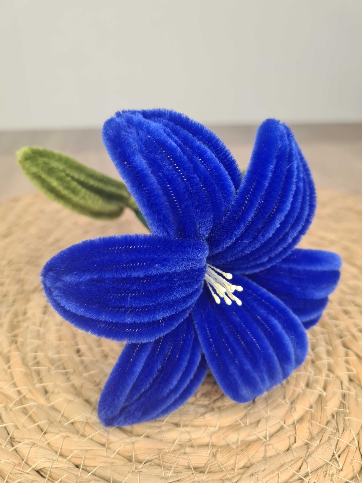 Lelie – DIY