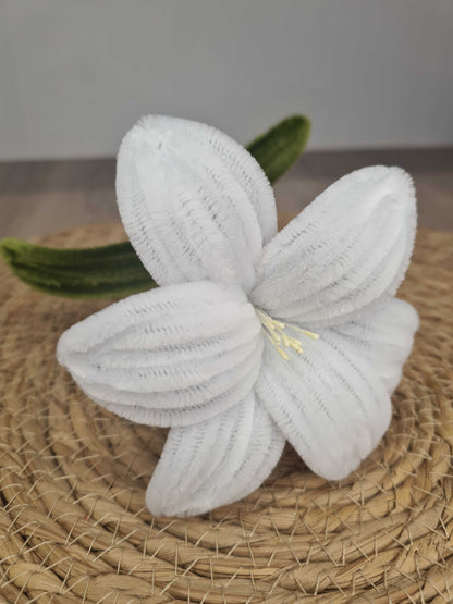 Lelie – DIY