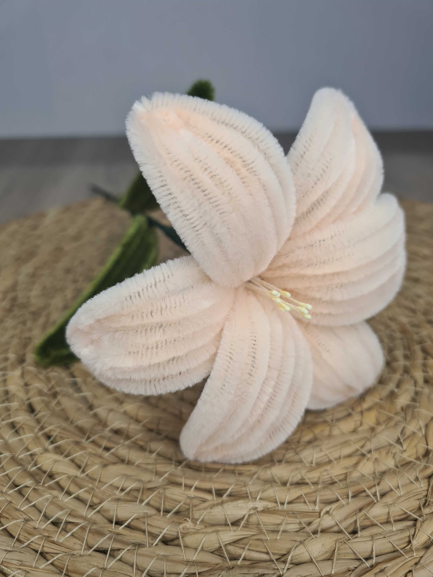 Lelie – DIY