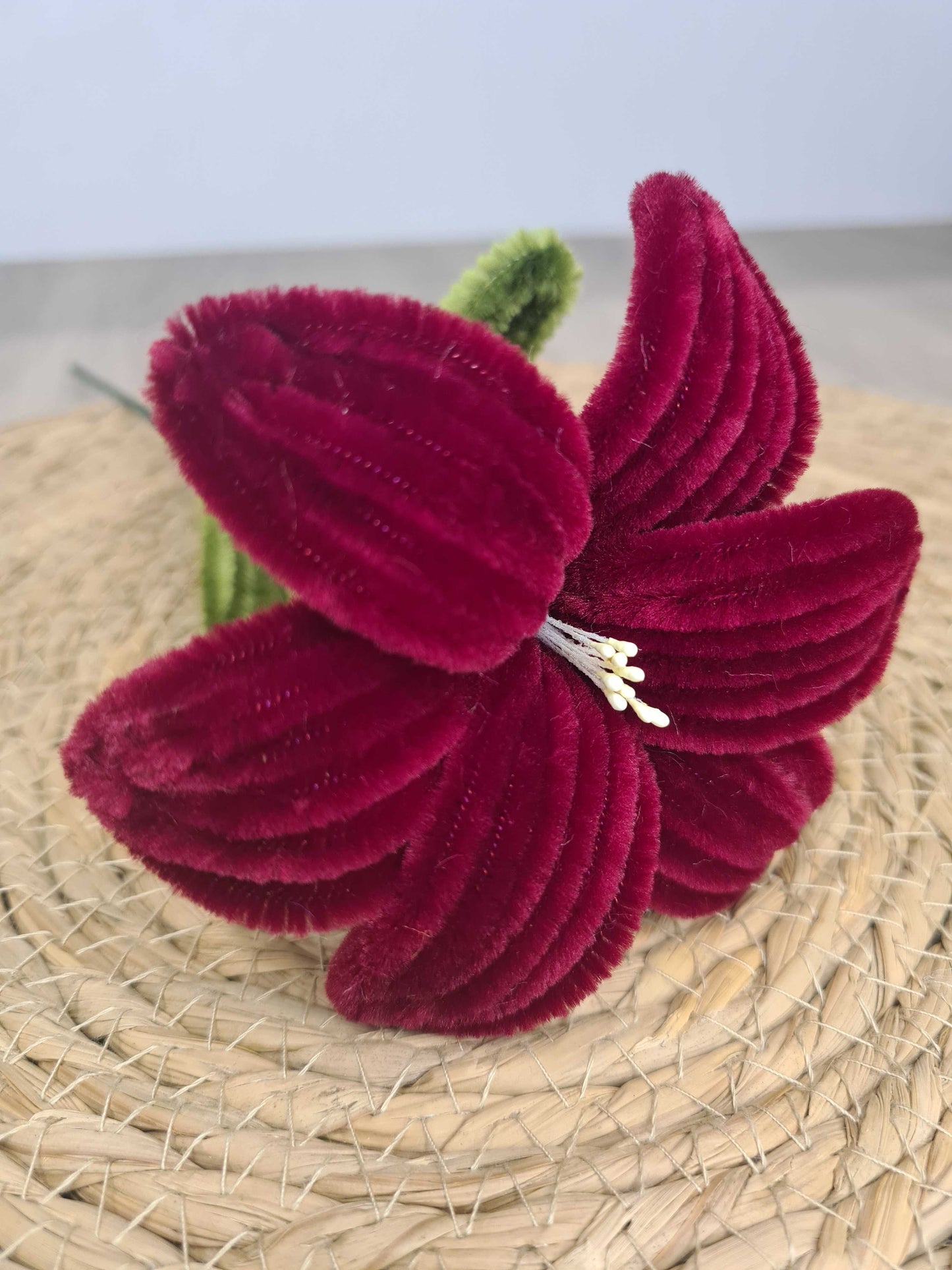 Lelie – DIY
