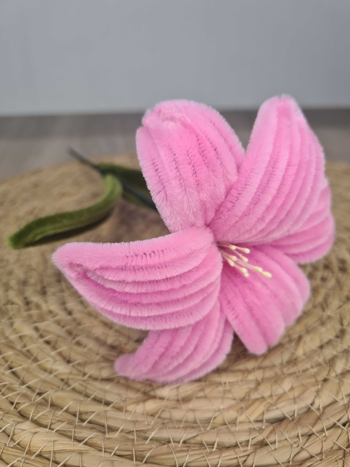 Lelie – DIY