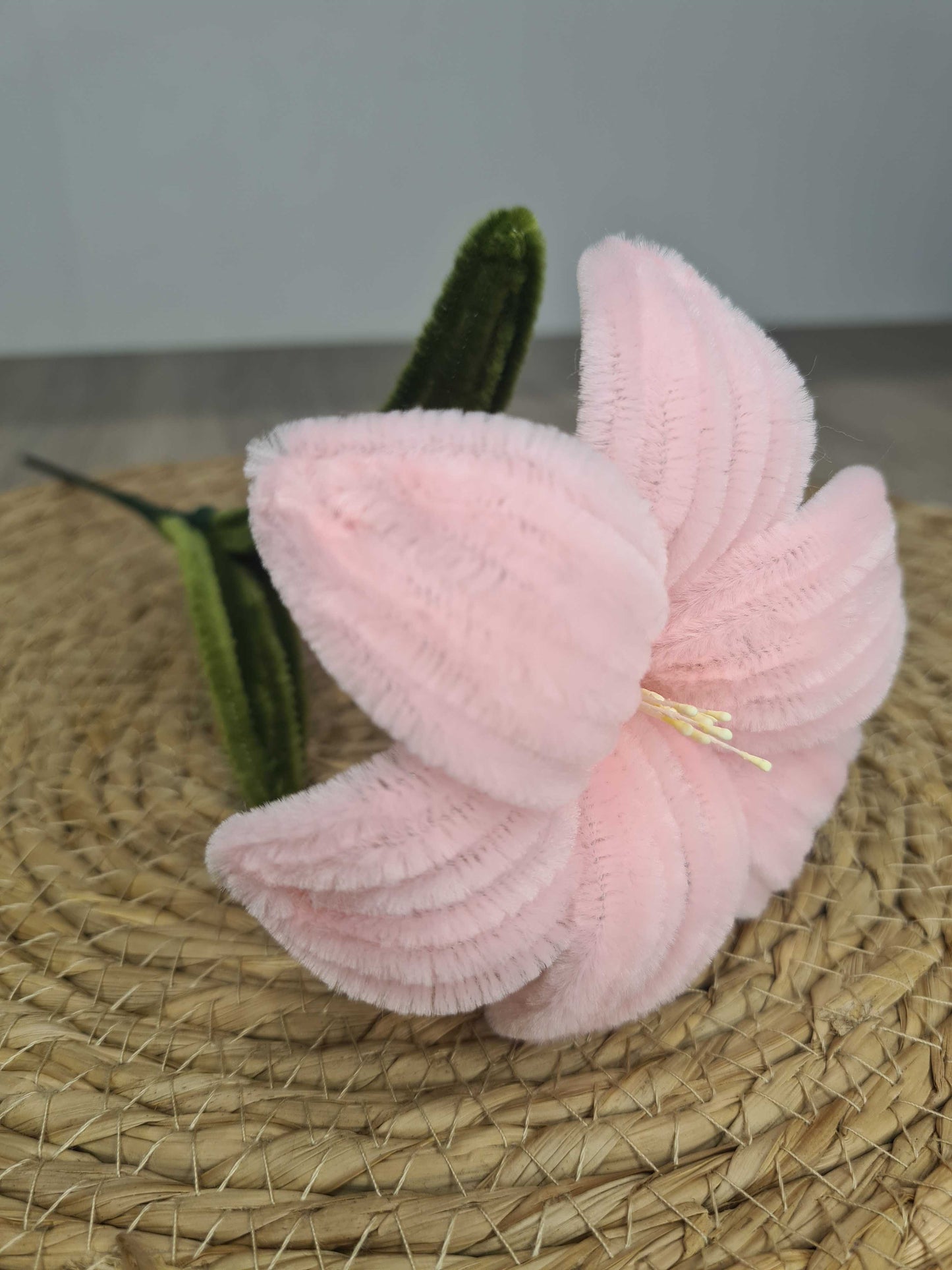 Lelie – DIY