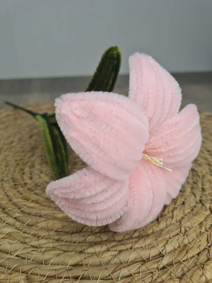 Lelie – DIY