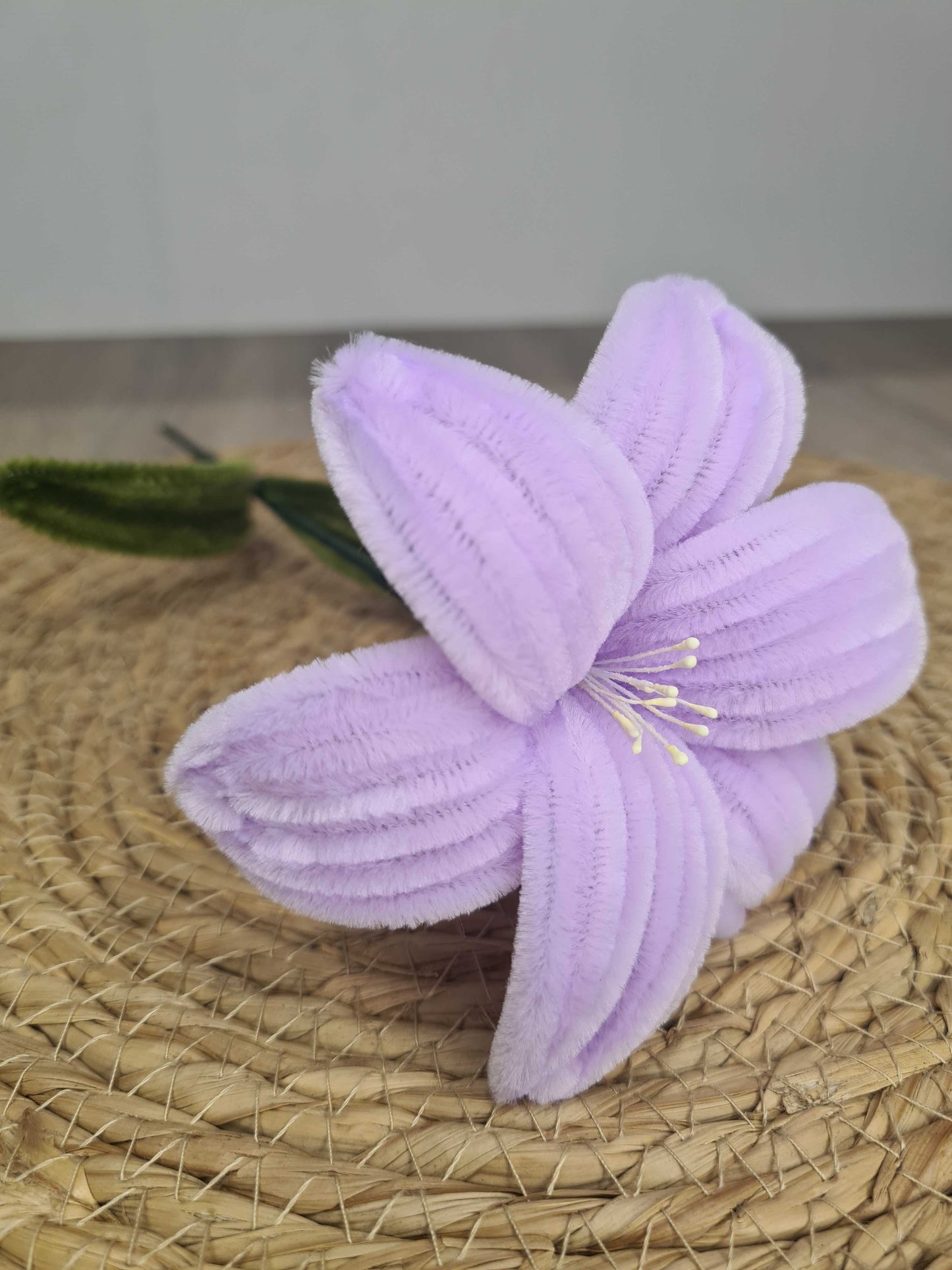 Lelie – DIY