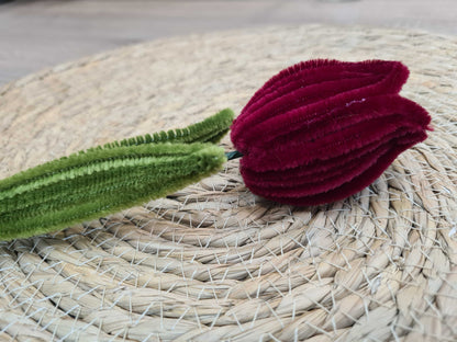 Tulp – DIY