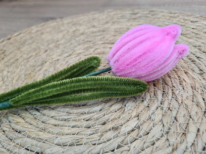 Tulp – DIY