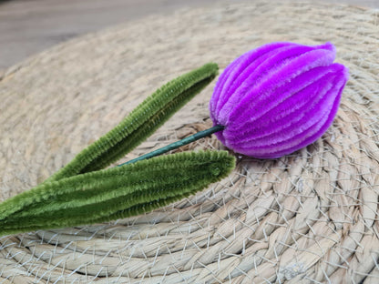 Tulp – DIY