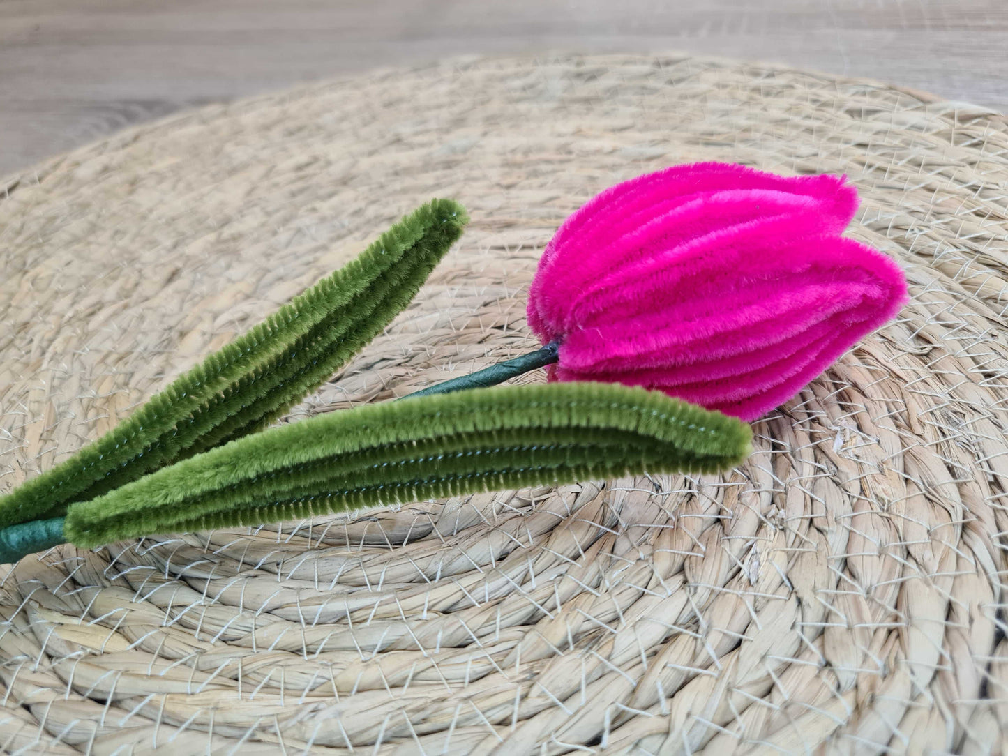 Tulp – DIY