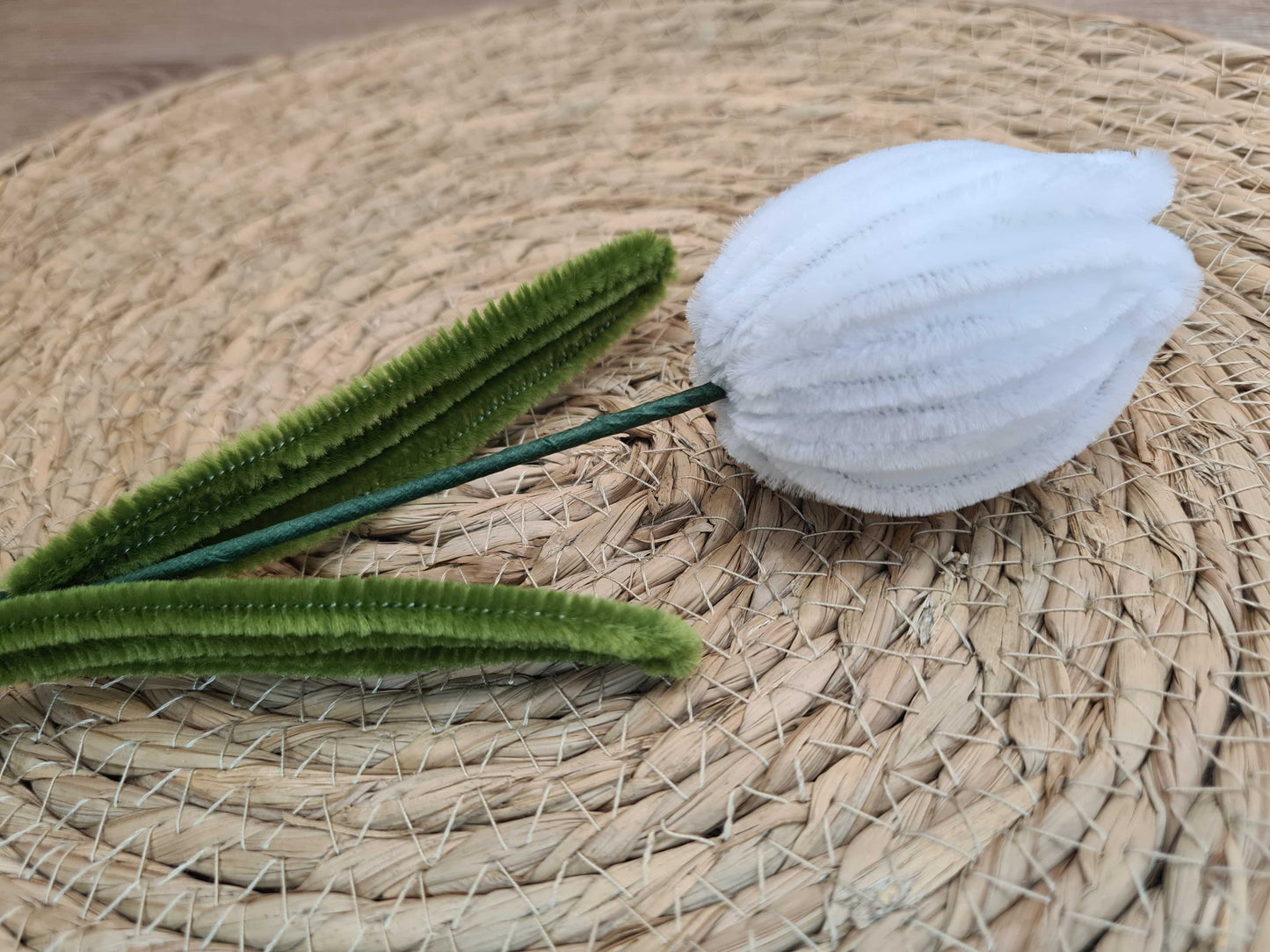 Tulp – DIY