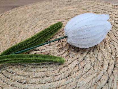 Tulp – DIY