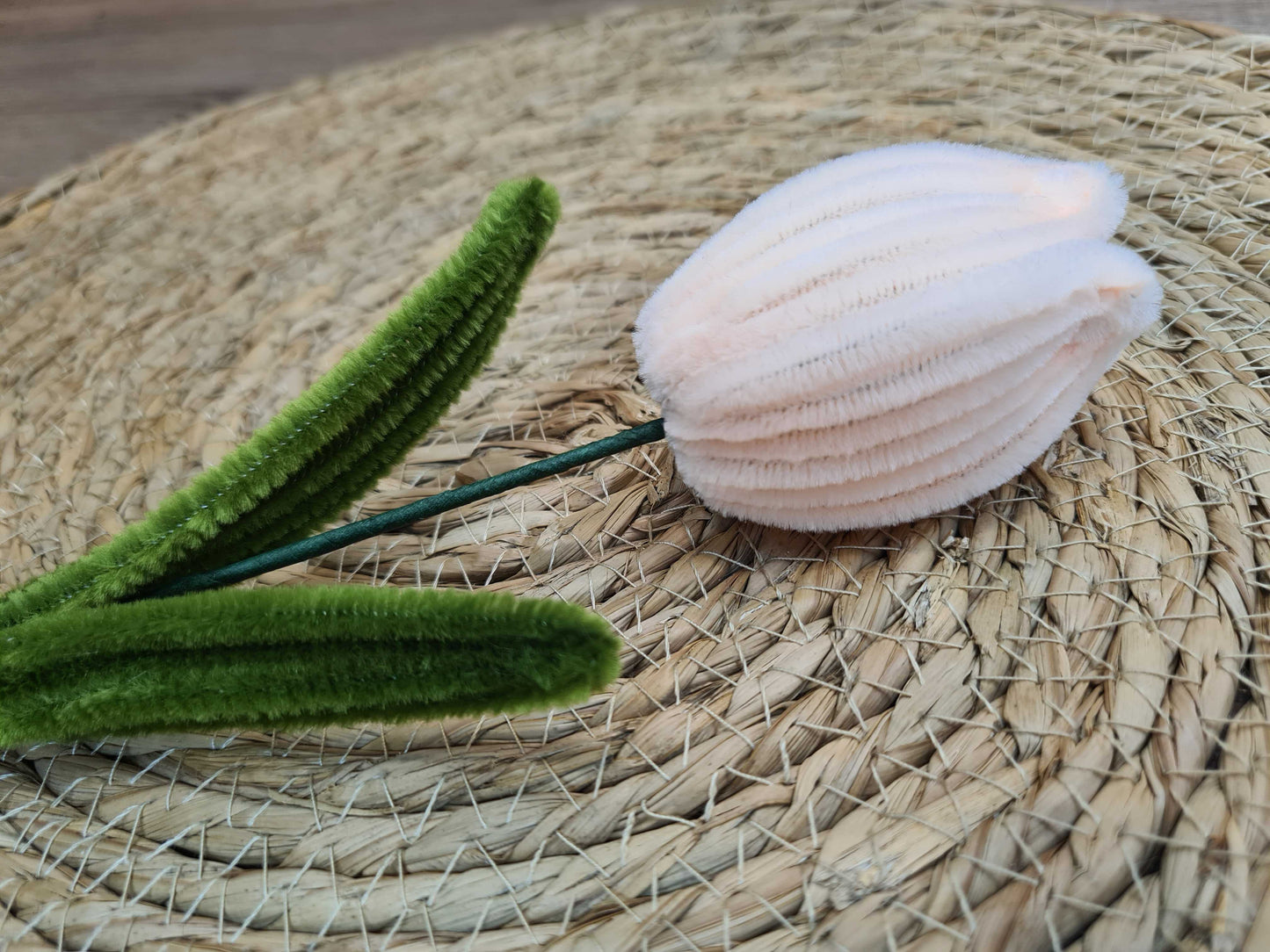 Tulp – DIY