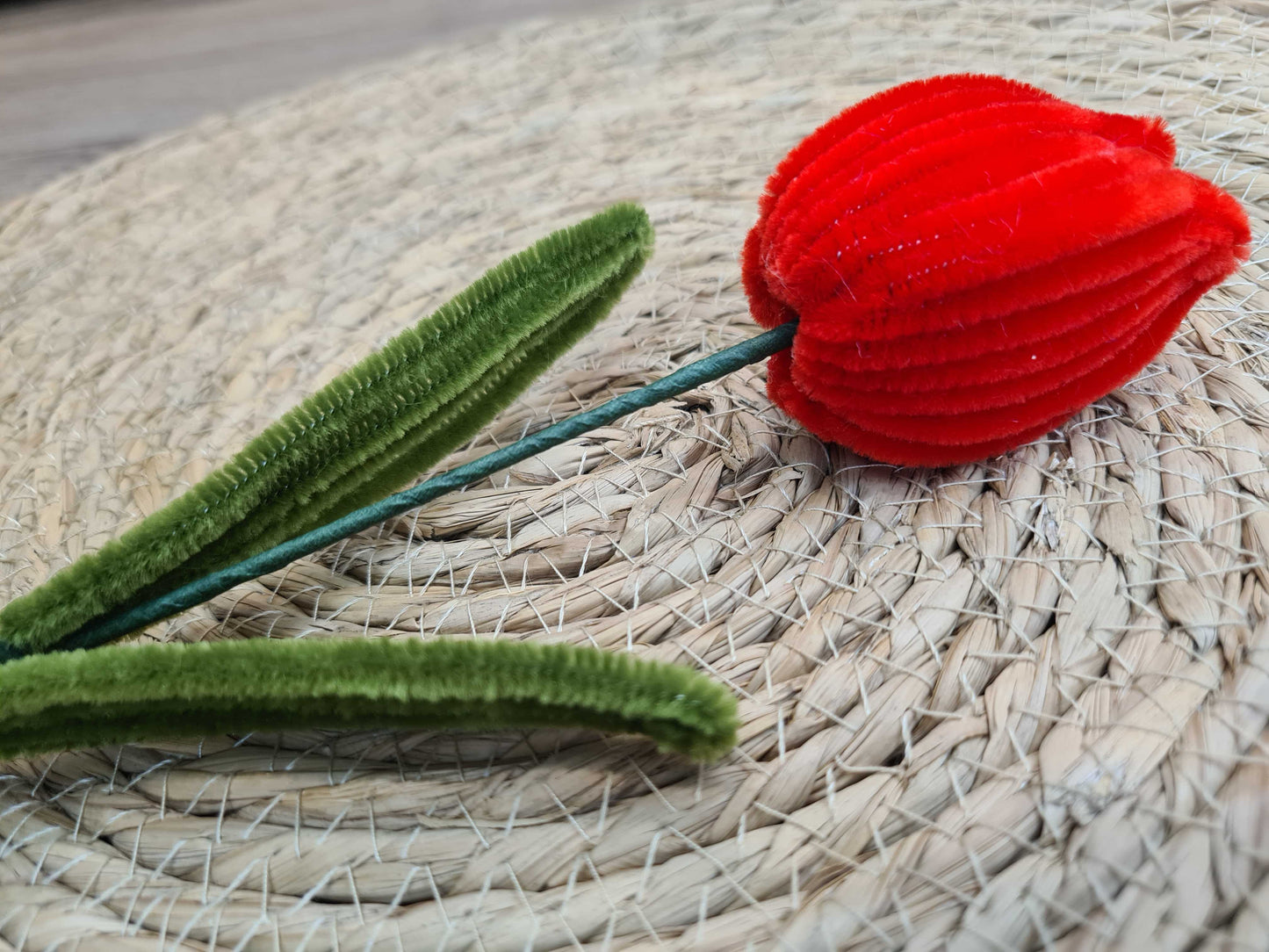 Tulp – DIY