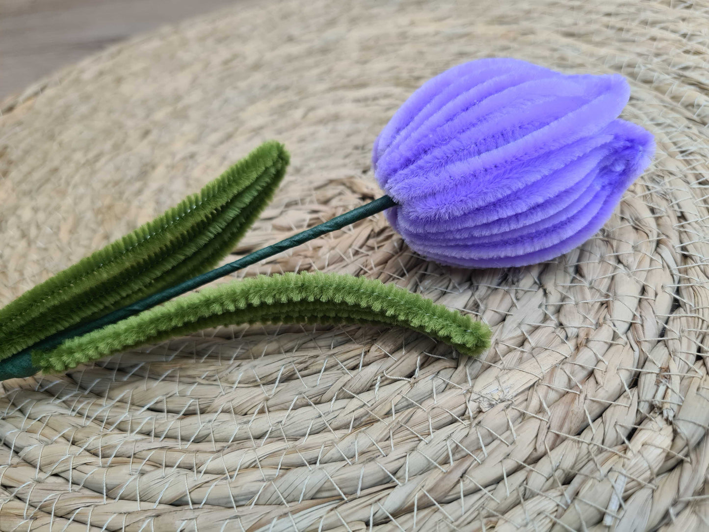 Tulp – DIY