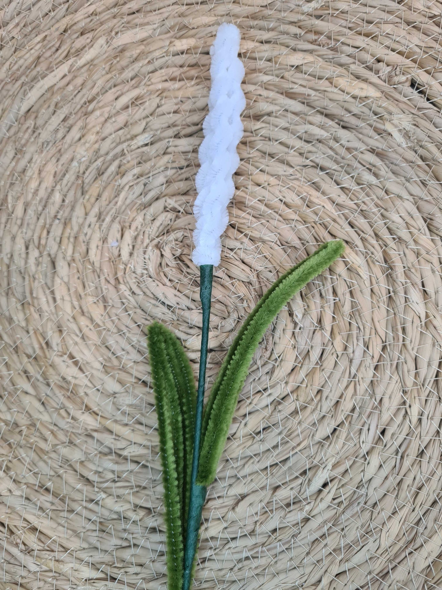 Lavendel – DIY