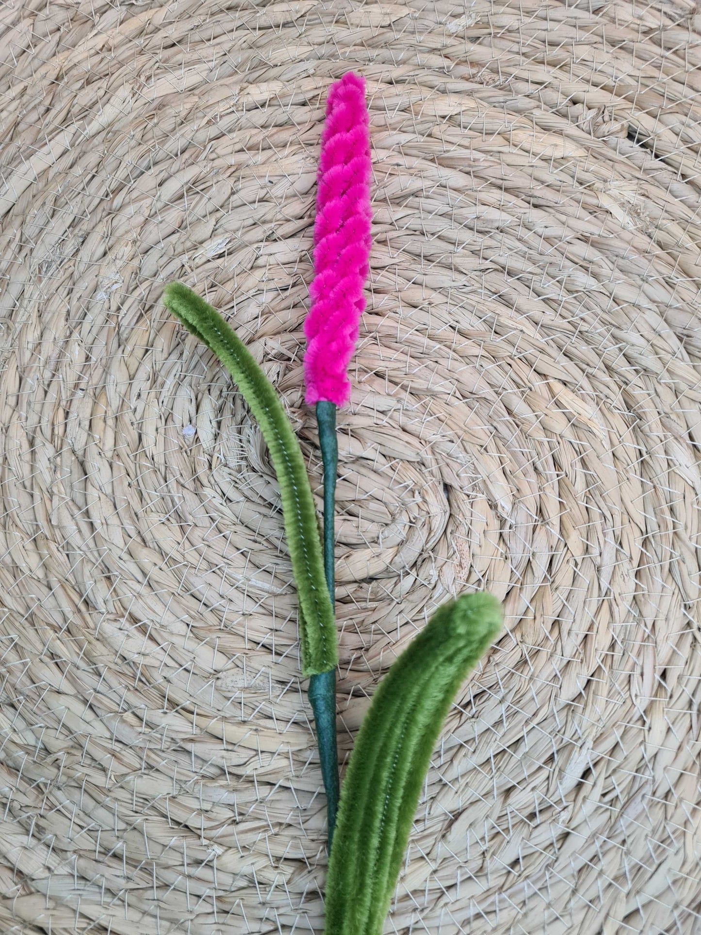 Lavendel – DIY