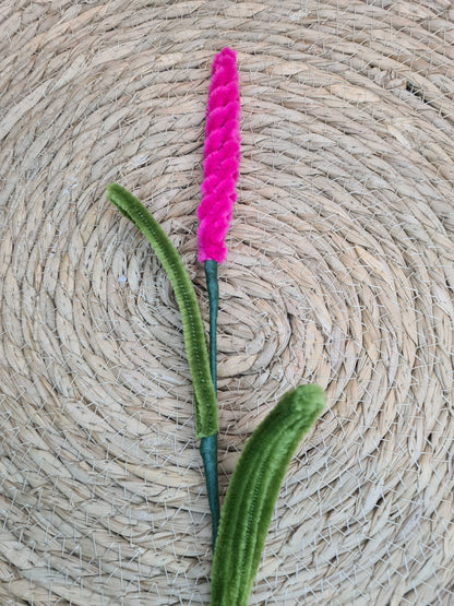 Lavendel – DIY