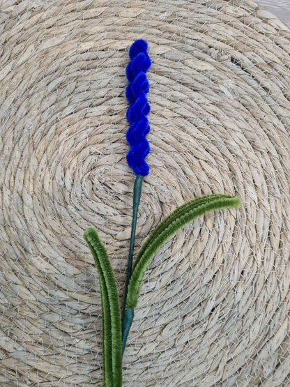 Lavendel – DIY