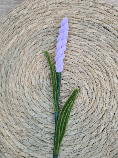 Lavendel – DIY
