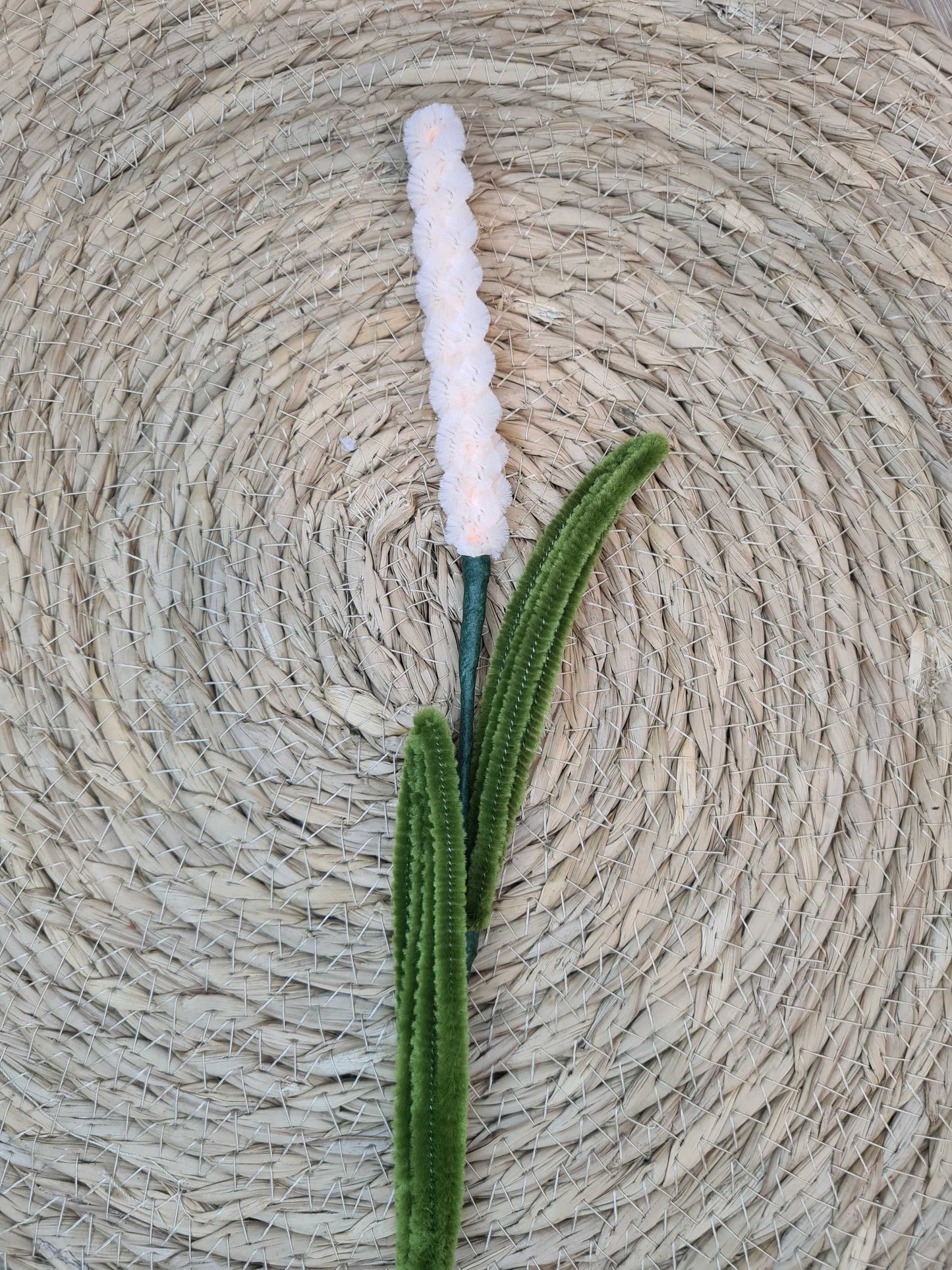 Lavendel – DIY