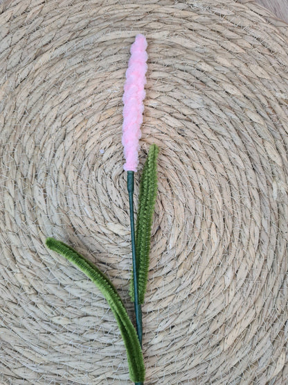 Lavendel – DIY