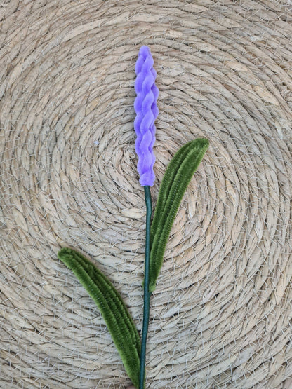 Lavendel – DIY