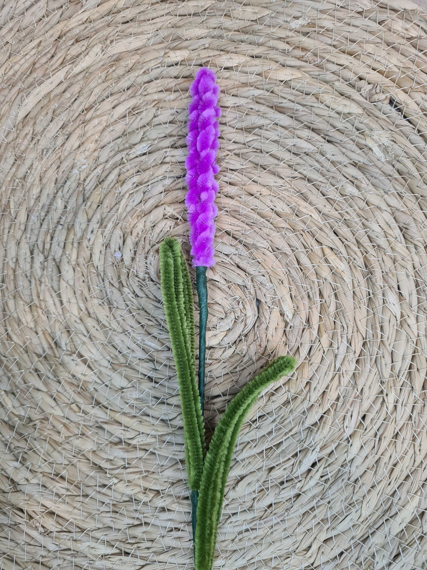 Lavendel – DIY
