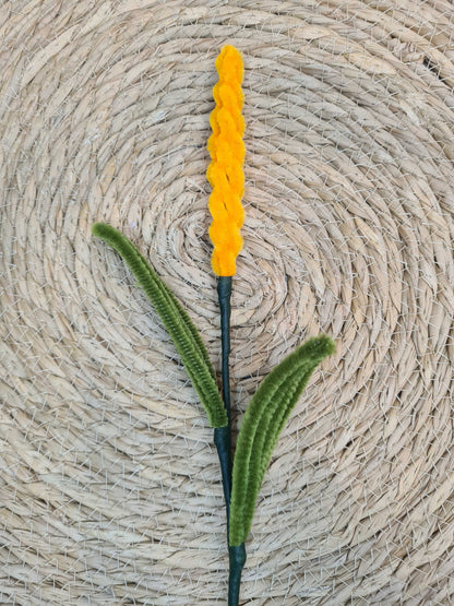 Lavendel – DIY
