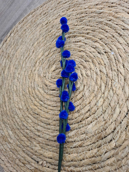 Wilgenkatjes – DIY