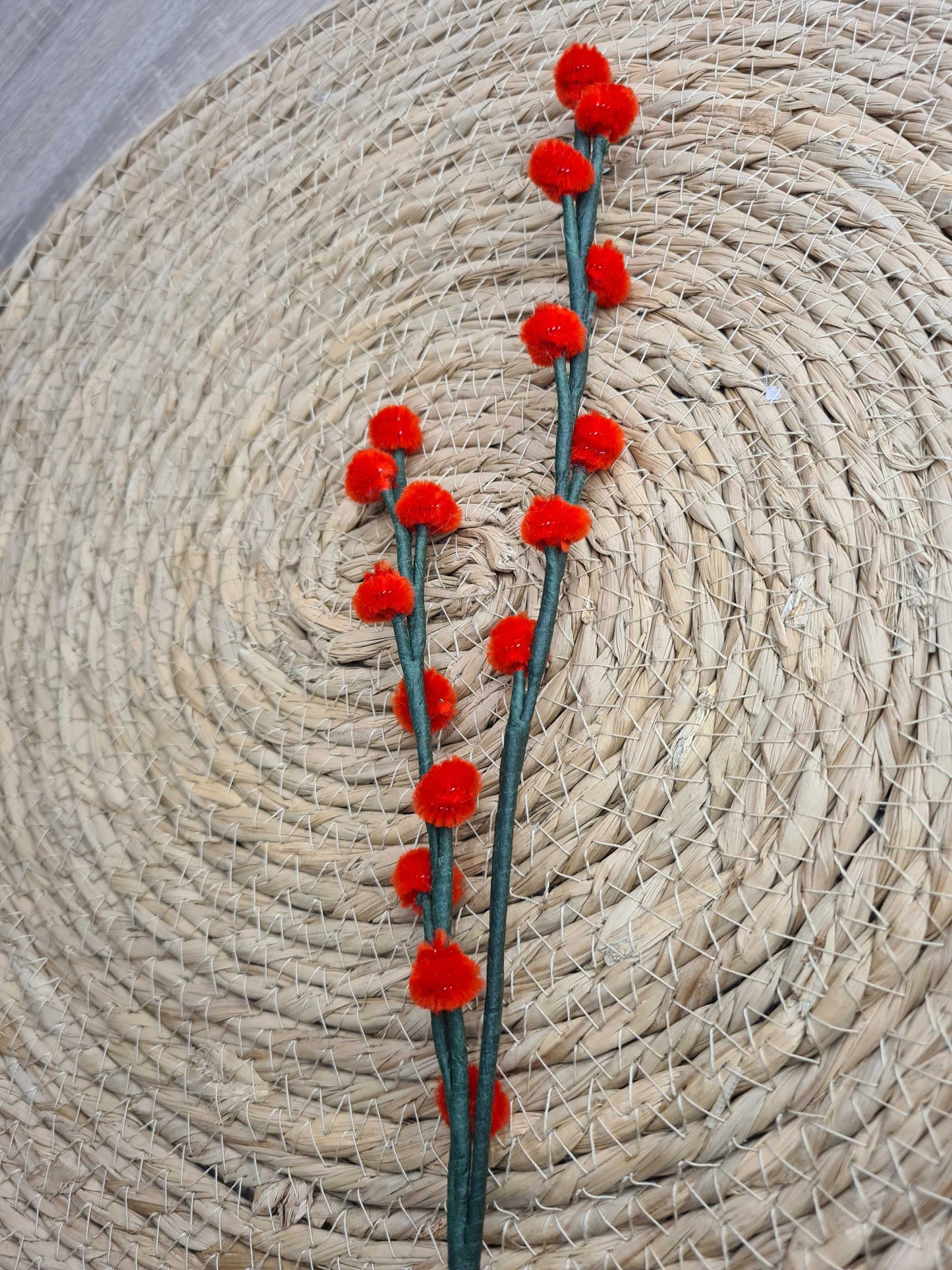 Wilgenkatjes – DIY