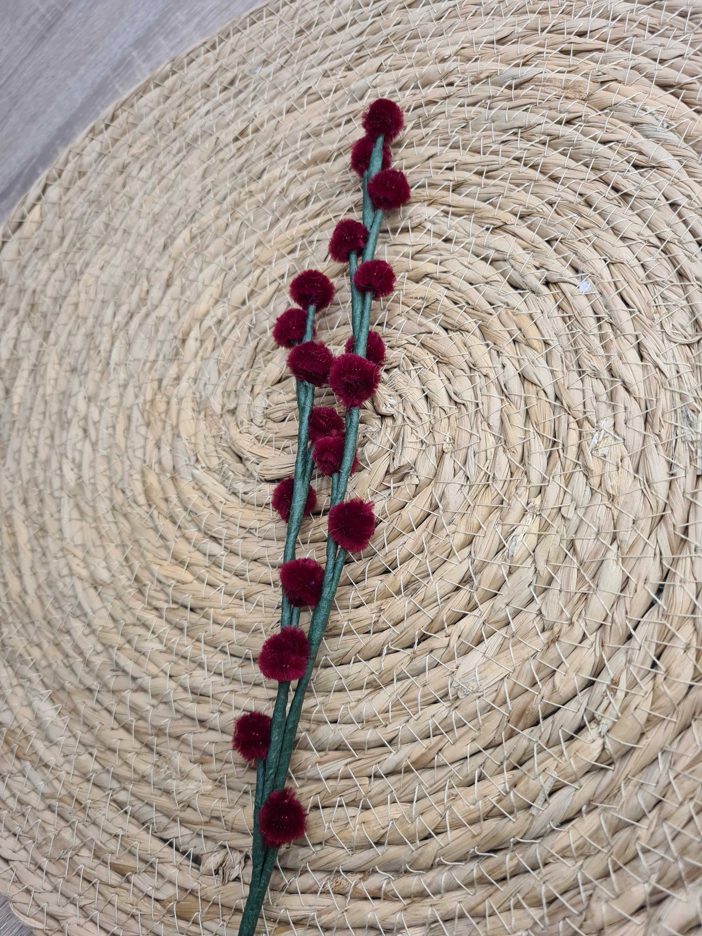 Wilgenkatjes – DIY