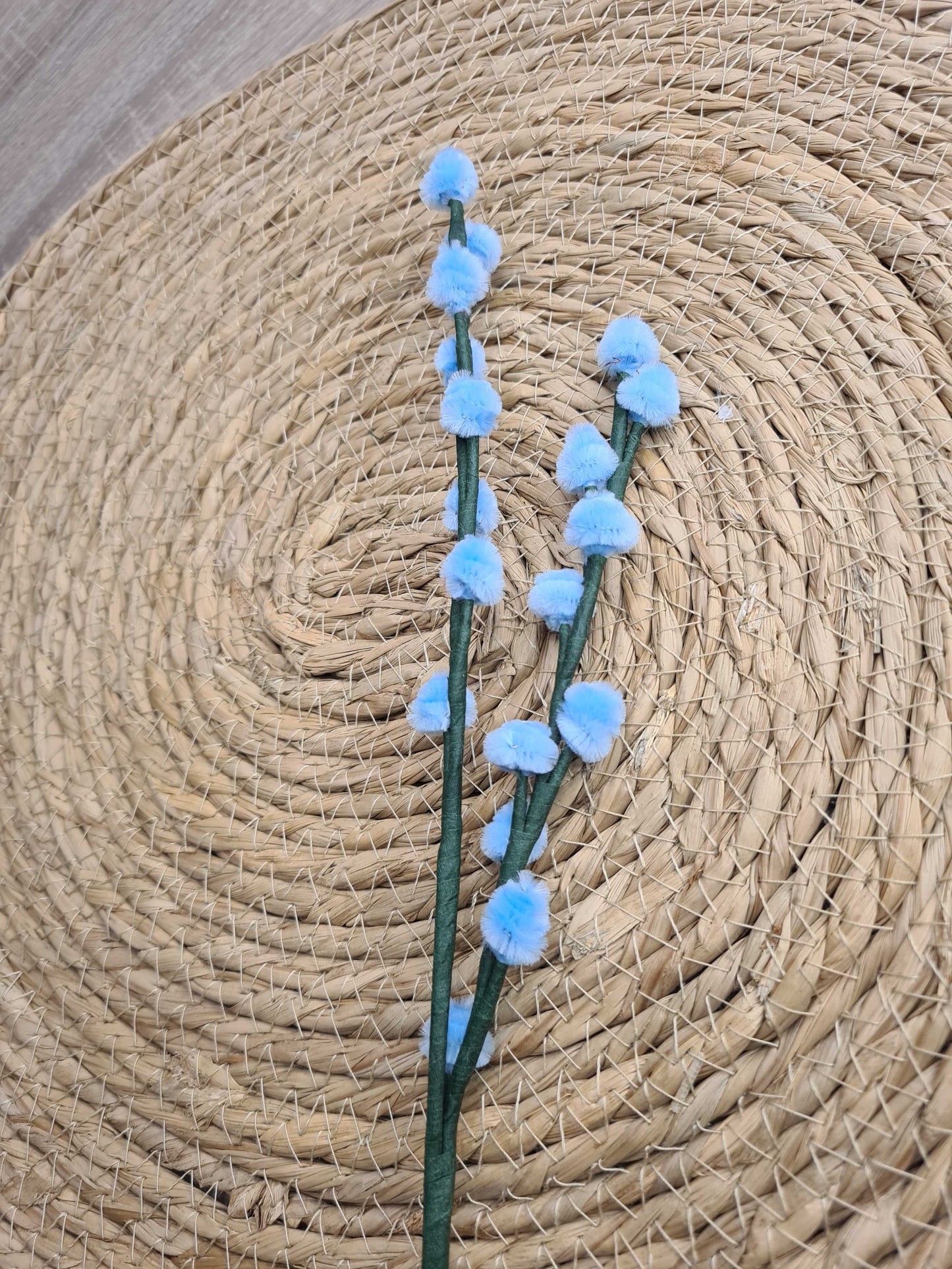 Wilgenkatjes – DIY