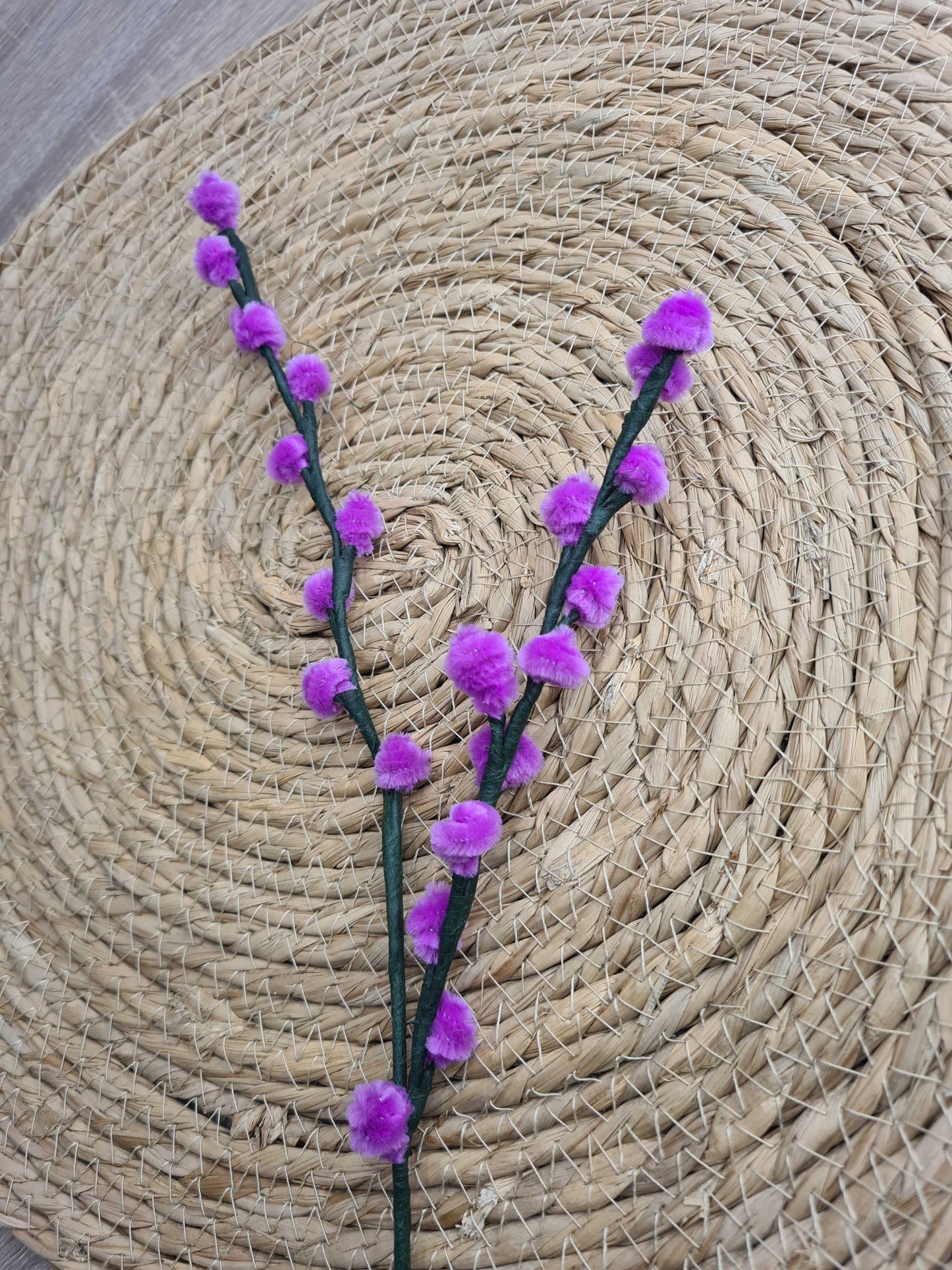 Wilgenkatjes – DIY