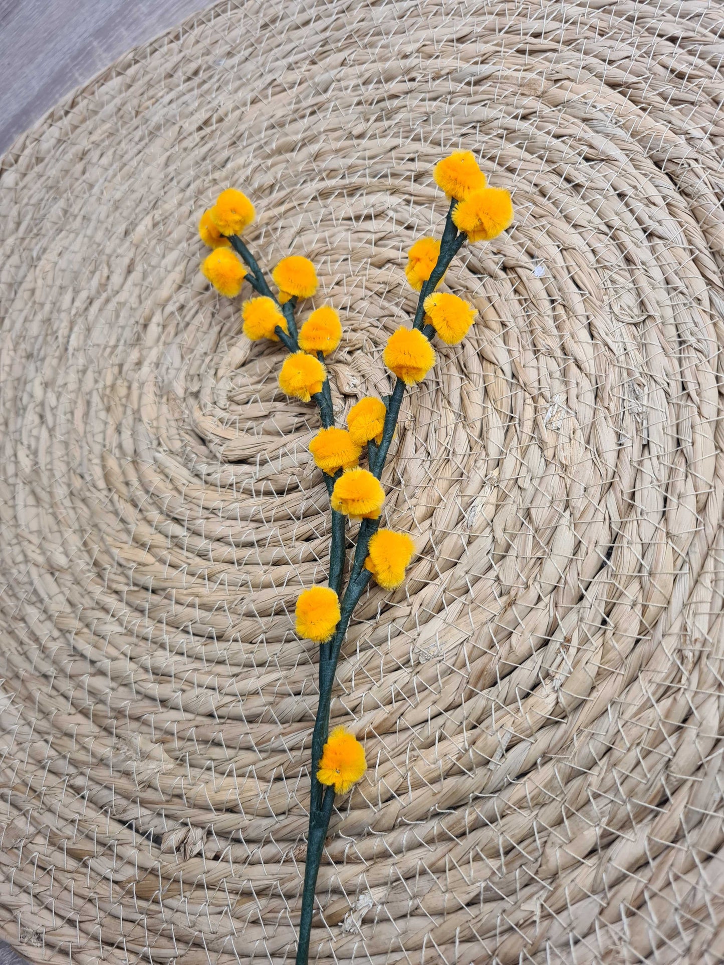 Wilgenkatjes – DIY