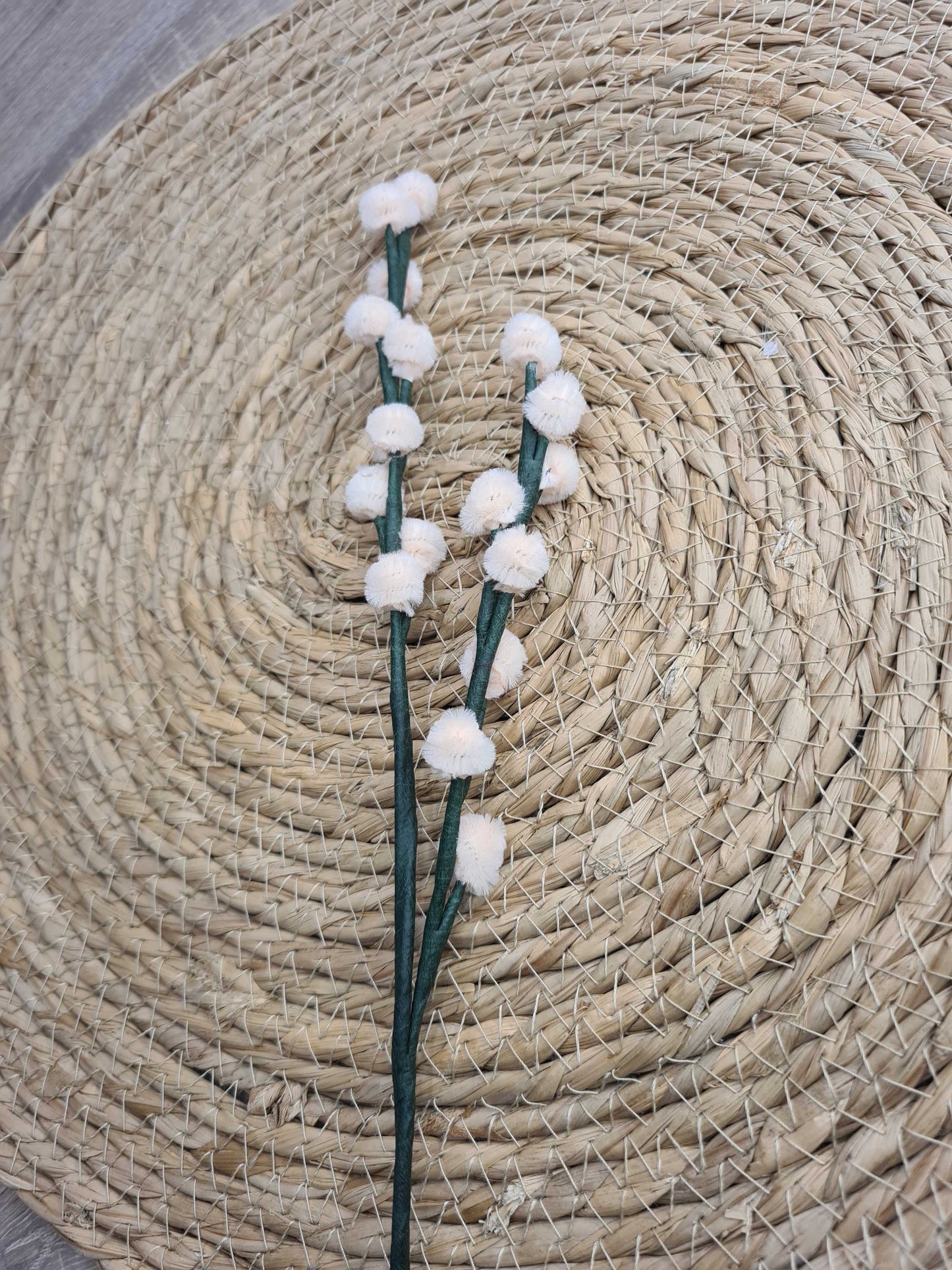 Wilgenkatjes – DIY
