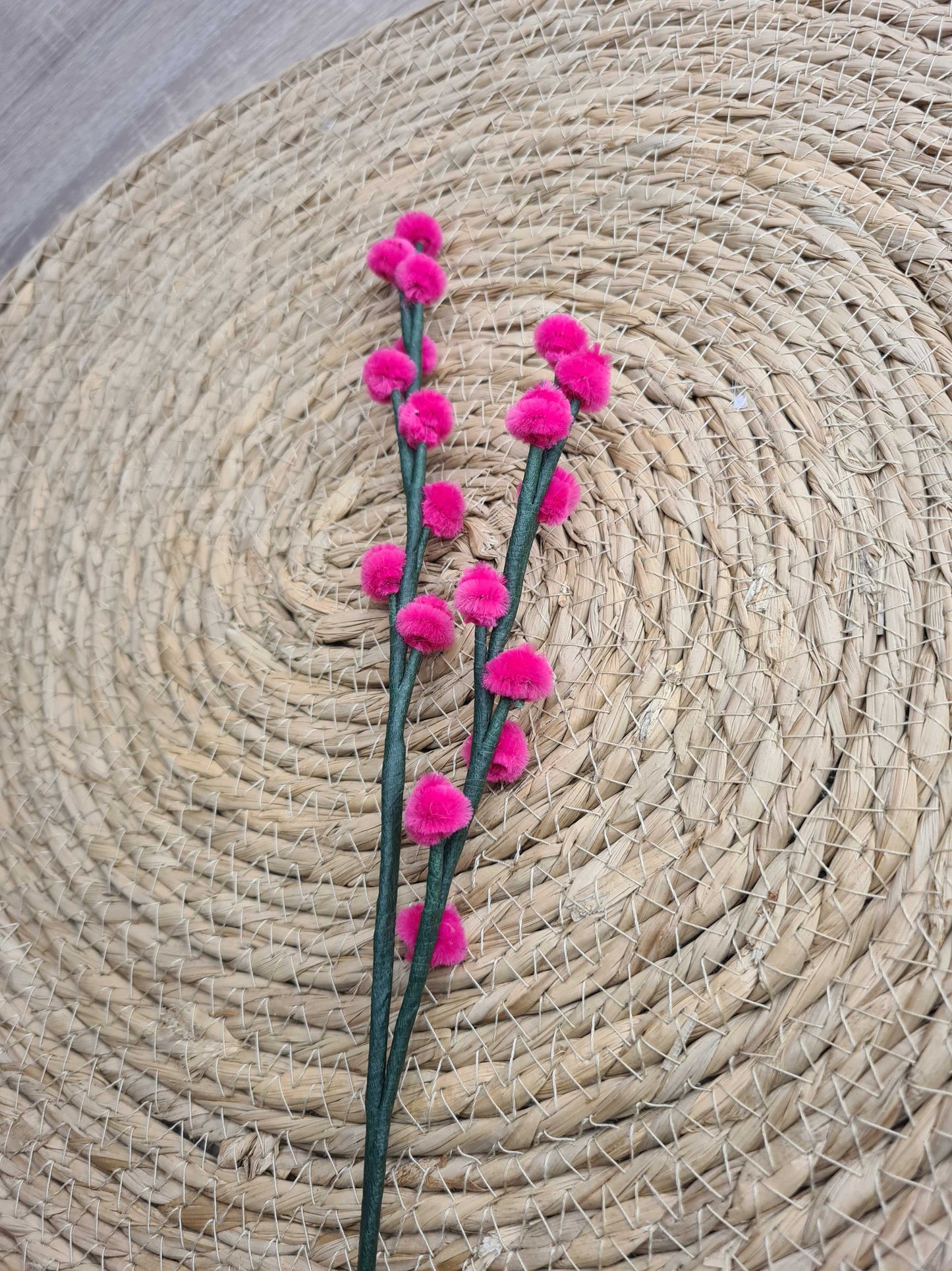 Wilgenkatjes – DIY
