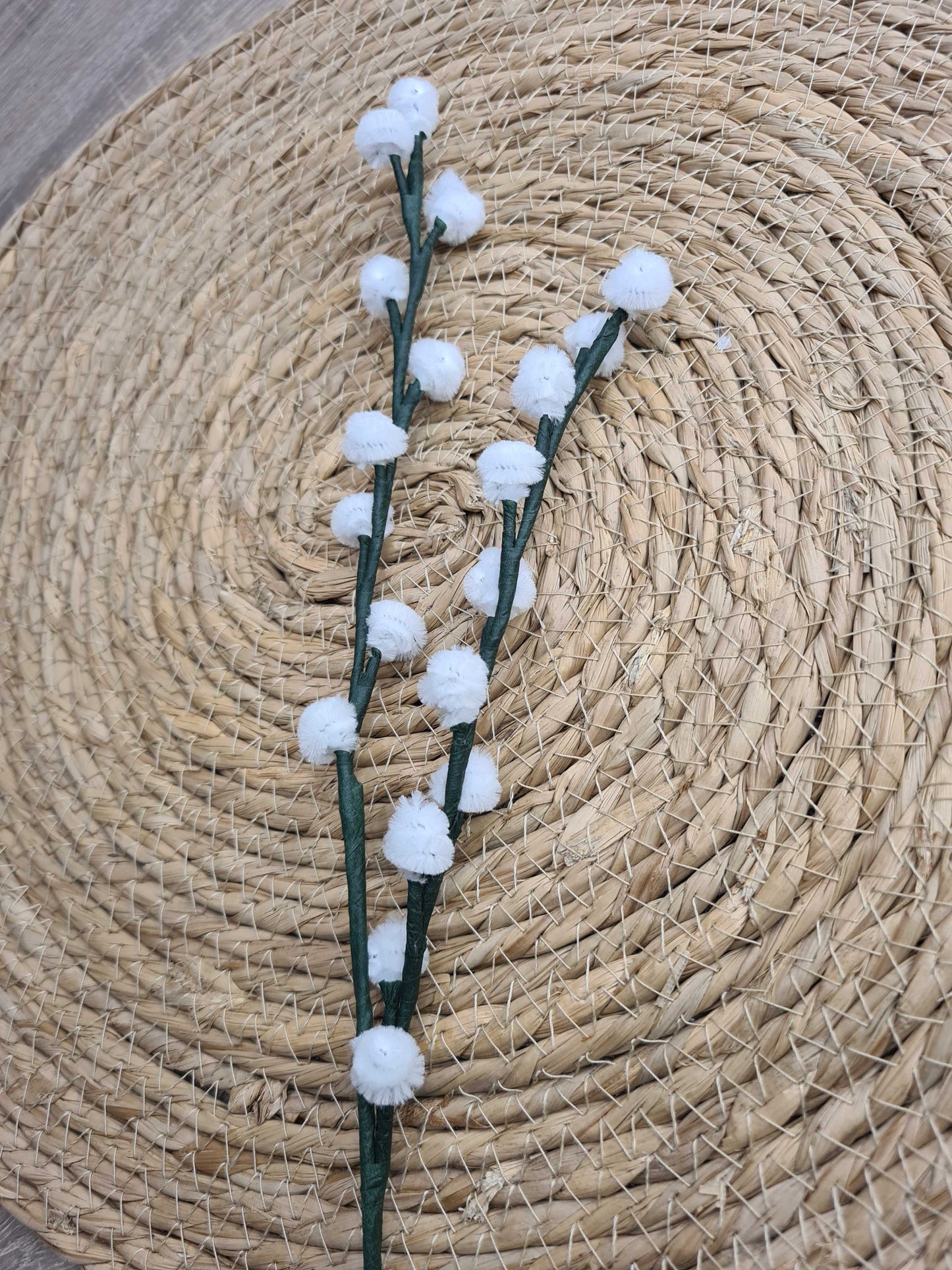 Wilgenkatjes – DIY