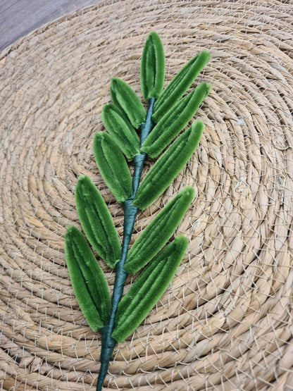 Eucalyptus – DIY
