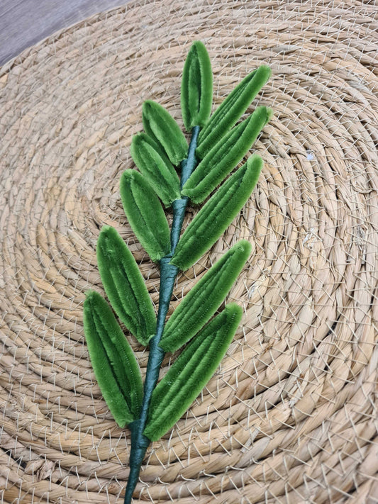 Eucalyptus – Kant en Klaar